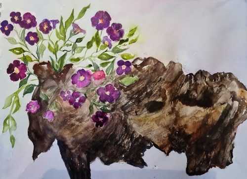 Chris M, Driftwood planter, watercolour.